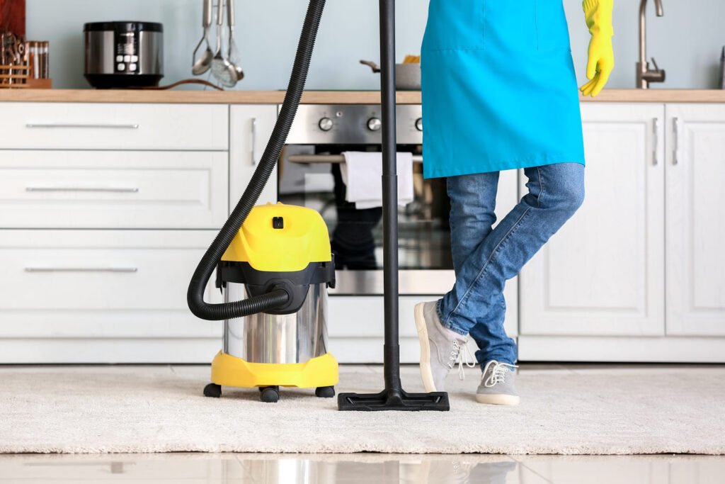 professional cleaning services (1)